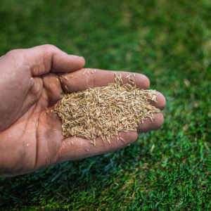 Benodigdheden graszoden-3 - kopie