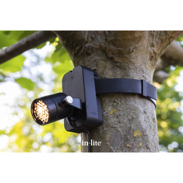 Brace Band