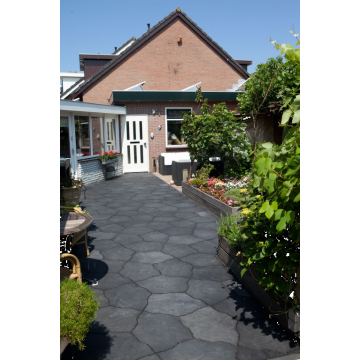 GeoArdesia Alivo 57x46x6 Milano