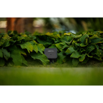 Switch Smart (Wifi)