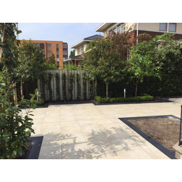 GeoCeramica 60x60x4 Evoque Beige