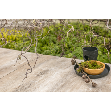 GeoCeramica 120x30x4 Timber Noce