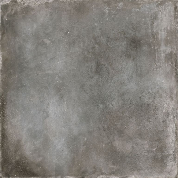 QLCM54312.GCERA_1