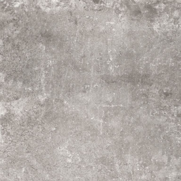 QLCM54322.GCERA_1