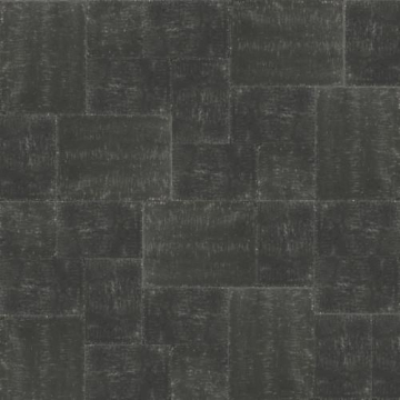 1000206v1