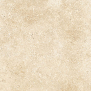 55279