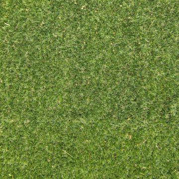 Kieran 45mm topdown