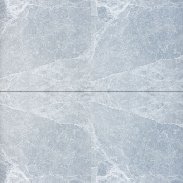 QLCM54437.GCERA_1