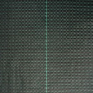 2010003__1603800296
