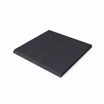 Zwembadrand 100 100 5 Carbon