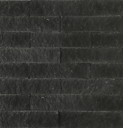 A0006830