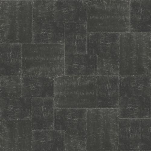 1000206v1