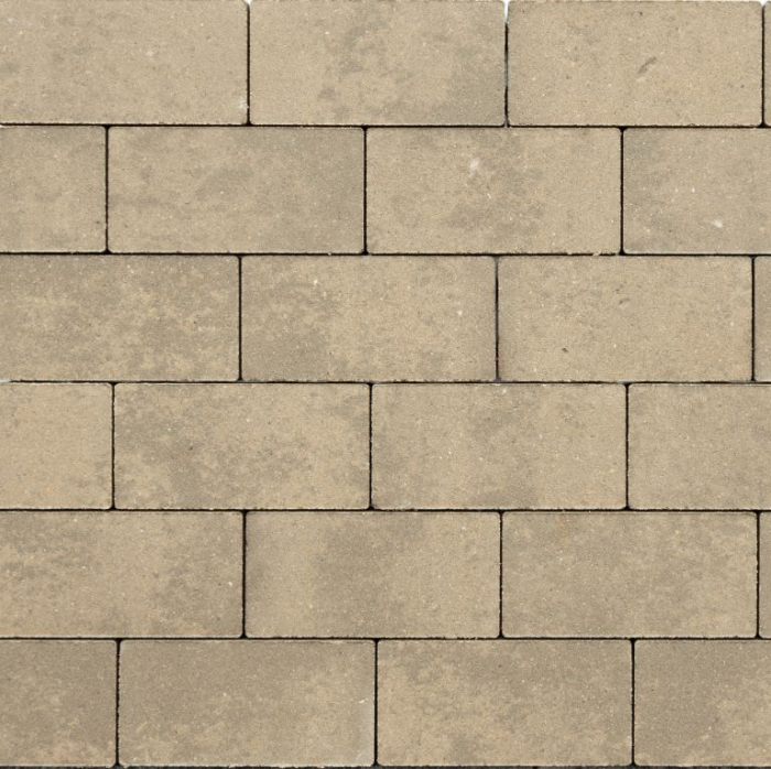 GeoCotto_Loto